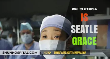 Exploring Seattle Grace: Understanding the Hospital's Type and Specializations
