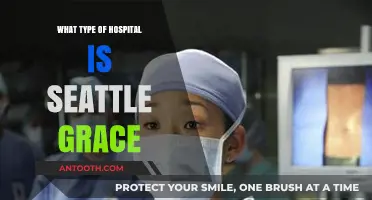Exploring Seattle Grace: A Comprehensive Look at Its Hospital Type