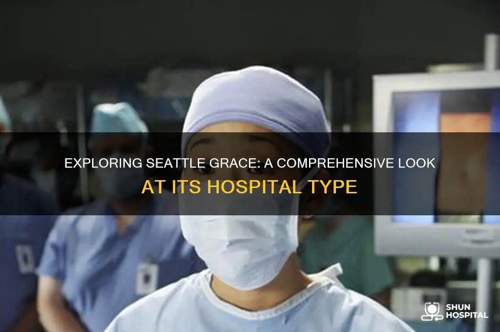 what type of hospital is seattle grace