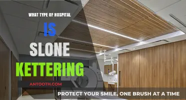 Understanding Slone Kettering: A Comprehensive Cancer Treatment Hospital