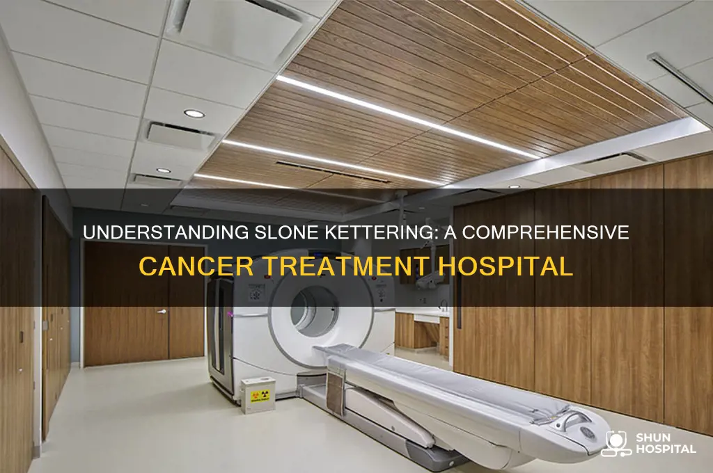 what type of hospital is slone kettering