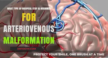 Understanding Arteriovenous Malformation: Hospital Stay Requirements Explained