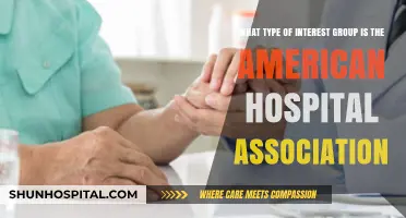 Understanding the American Hospital Association: A Trade Interest Group
