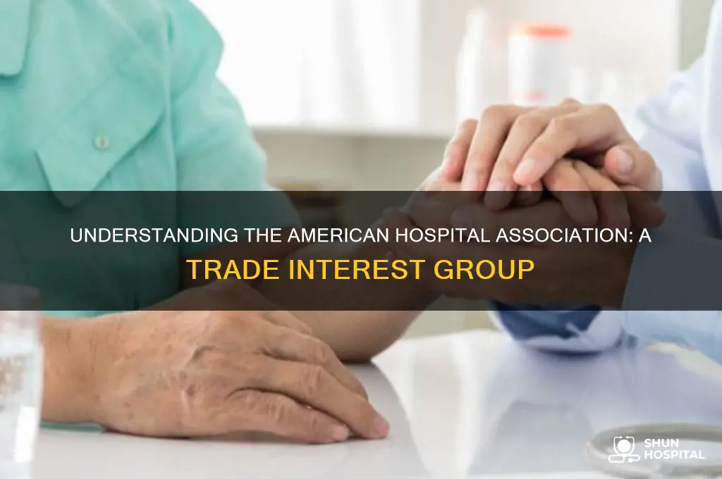 what type of interest group is the american hospital association