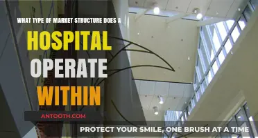 Understanding the Market Structure of Hospitals: A Comprehensive Analysis