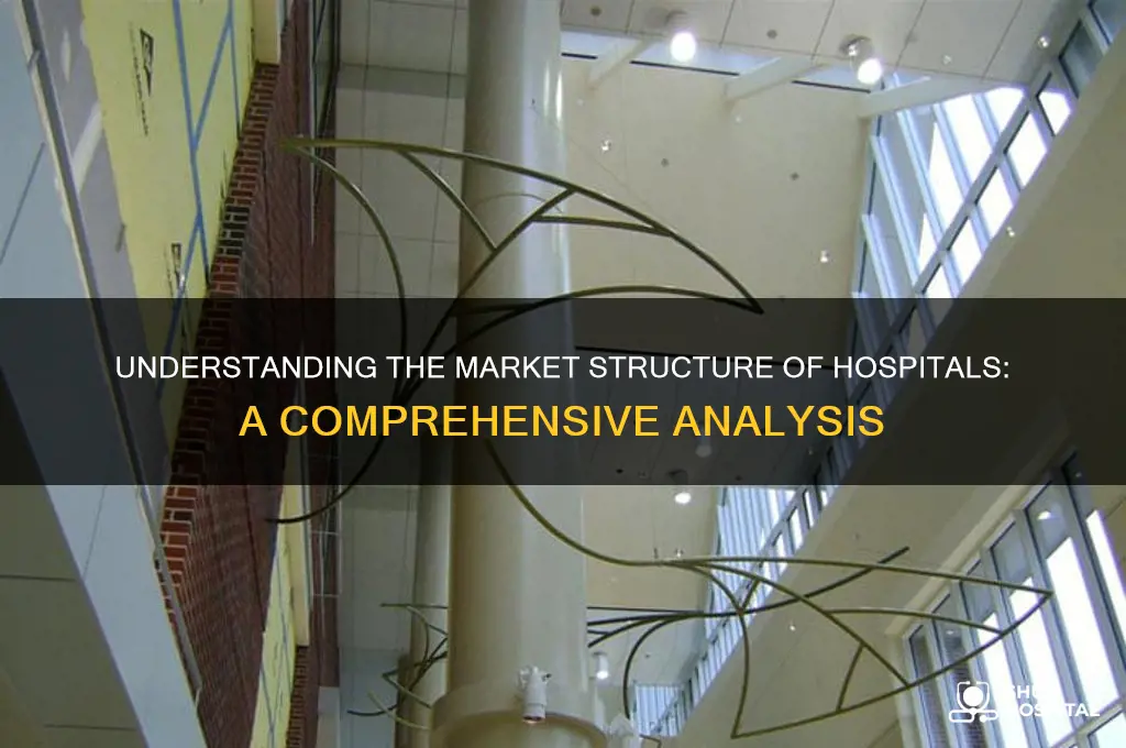 what type of market structure does a hospital operate within
