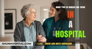 Exploring Diverse Nursing Roles: Types of Nurses in Hospitals