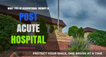 Exploring Post-Acute Hospital Occupational Therapy: Types and Benefits