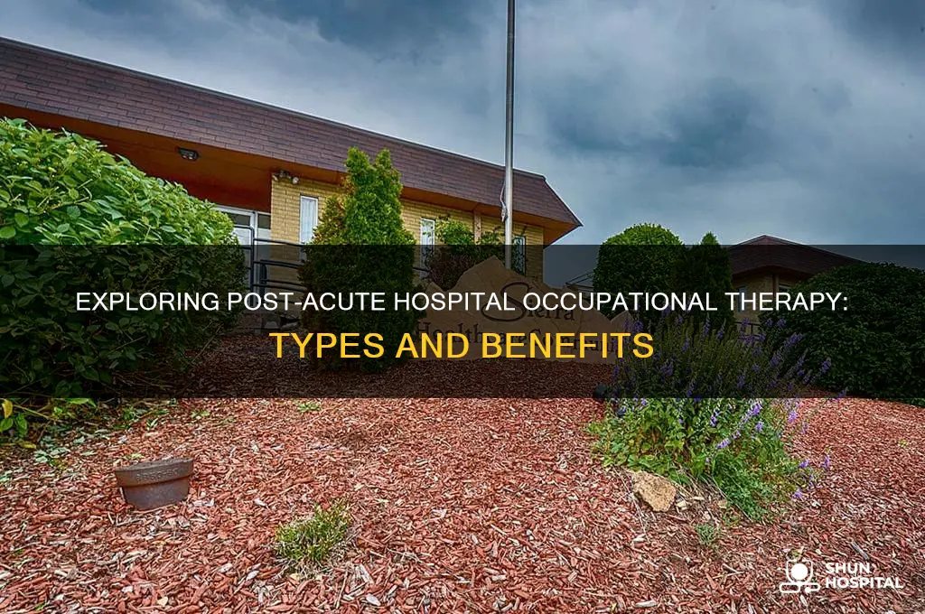 what type of occupational therapy is post acute hospital