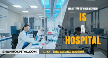 Understanding Hospital Structures: Types of Healthcare Organizations Explained