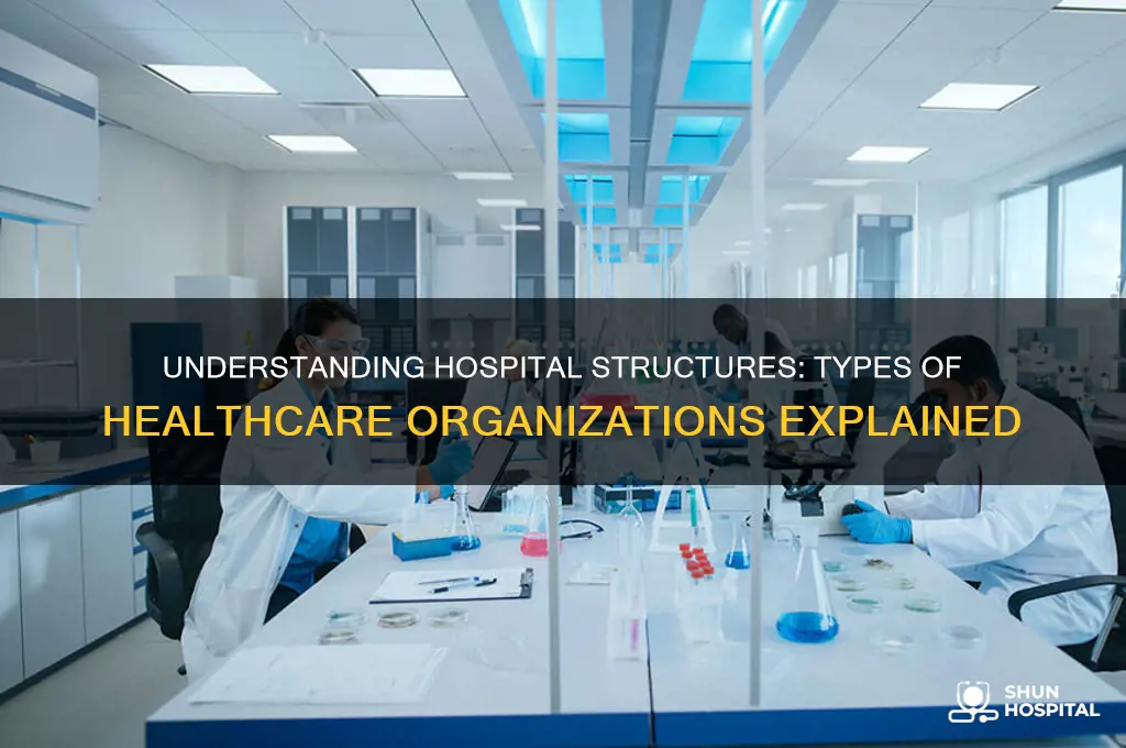 what type of organization is a hospital