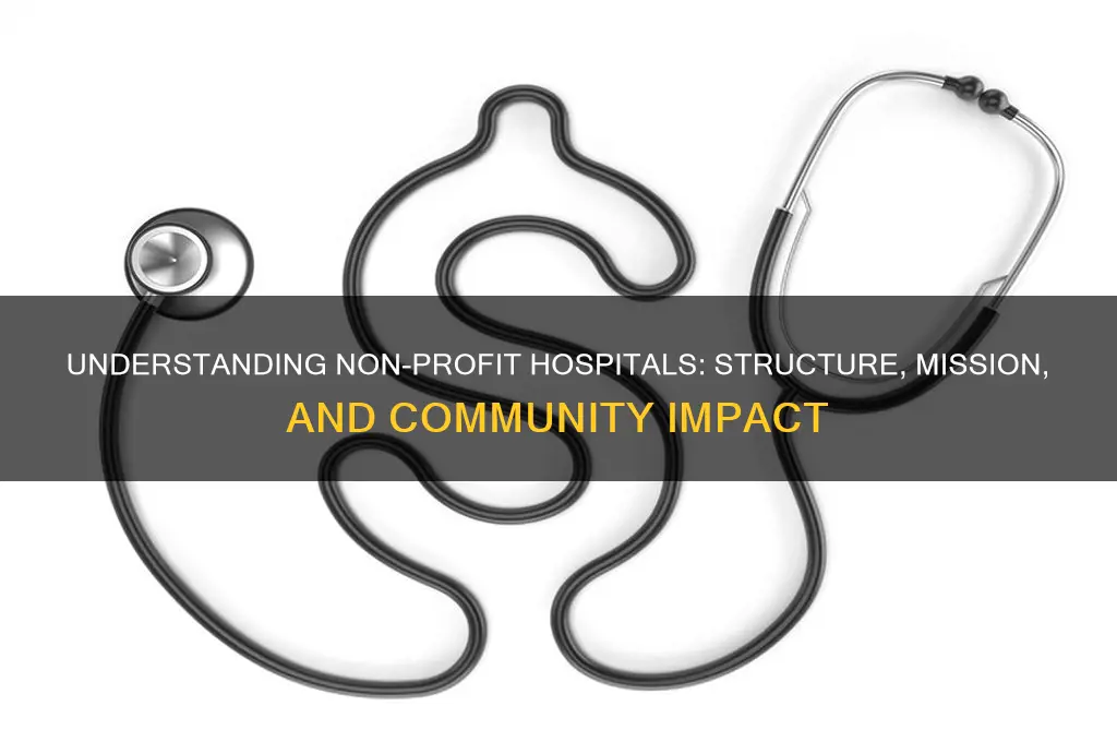 what type of organization is a non profit hospital com1000