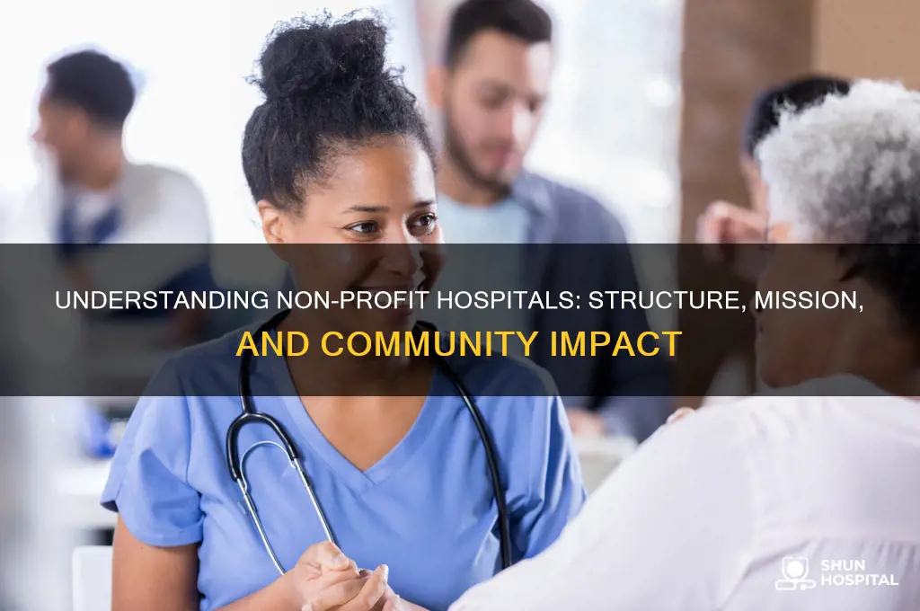what type of organization is a non profit hospital