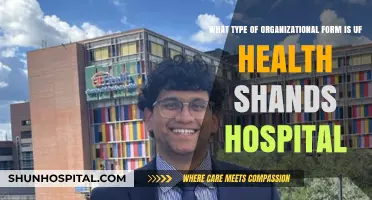 Understanding UF Health Shands Hospital's Organizational Structure and Model