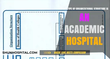 Understanding the Organizational Structure of Academic Hospitals: A Comprehensive Guide