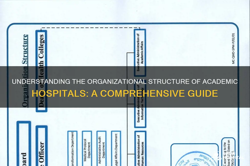 what type of organizational structure is an academic hospital