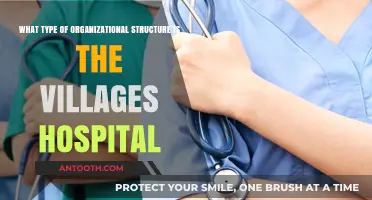 Exploring The Villages Hospital's Organizational Structure: A Comprehensive Analysis