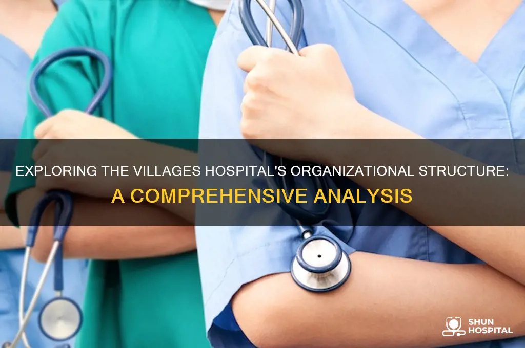 what type of organizational structure is the villages hospital