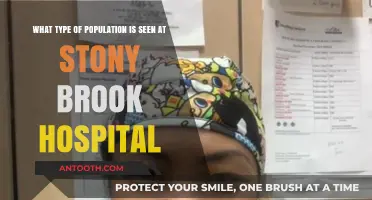 Diverse Patient Demographics at Stony Brook Hospital: A Comprehensive Overview