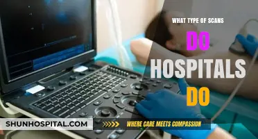 Exploring Common Medical Scans: Types and Uses in Hospitals