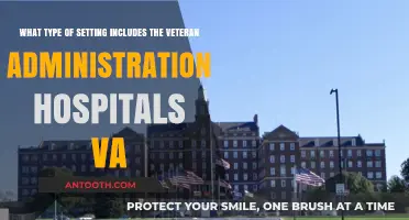 Understanding the Healthcare Setting of VA Hospitals for Veterans