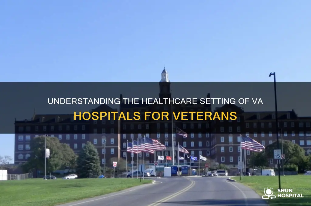 what type of setting includes the veteran administration hospitals va