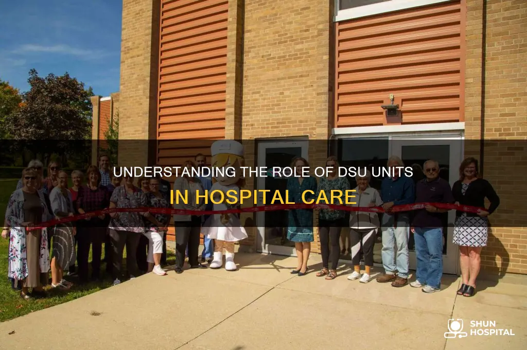 what type of unit is dsu in a hospital