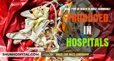 Understanding the Most Common Types of Hospital Waste and Management