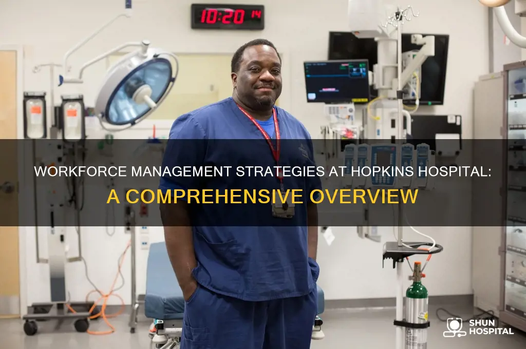 what type of workforce management hopkins hospital