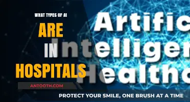 Exploring AI in Healthcare: Types Transforming Hospital Operations and Care