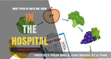 Exploring Hospital Diets: Types, Purposes, and Patient Nutrition Plans
