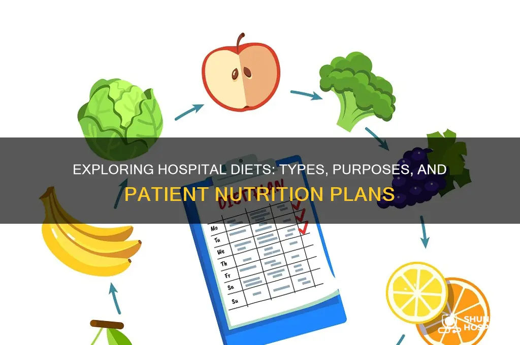 what types of diets are there in the hospital