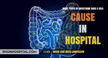 E. Coli Infections in Hospitals: Types, Risks, and Prevention Strategies