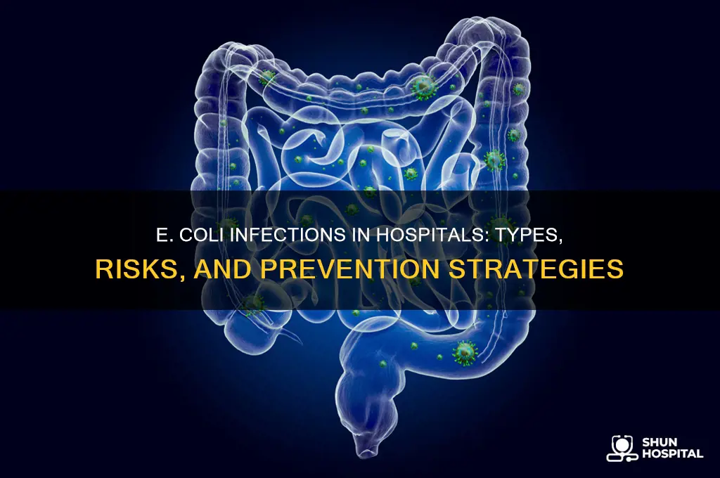 what types of infections does e coli cause in hospital