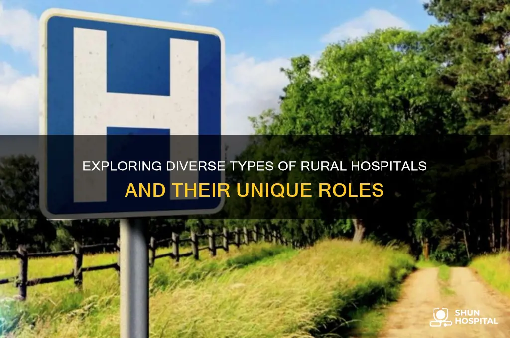 what types of rural hospitals are there