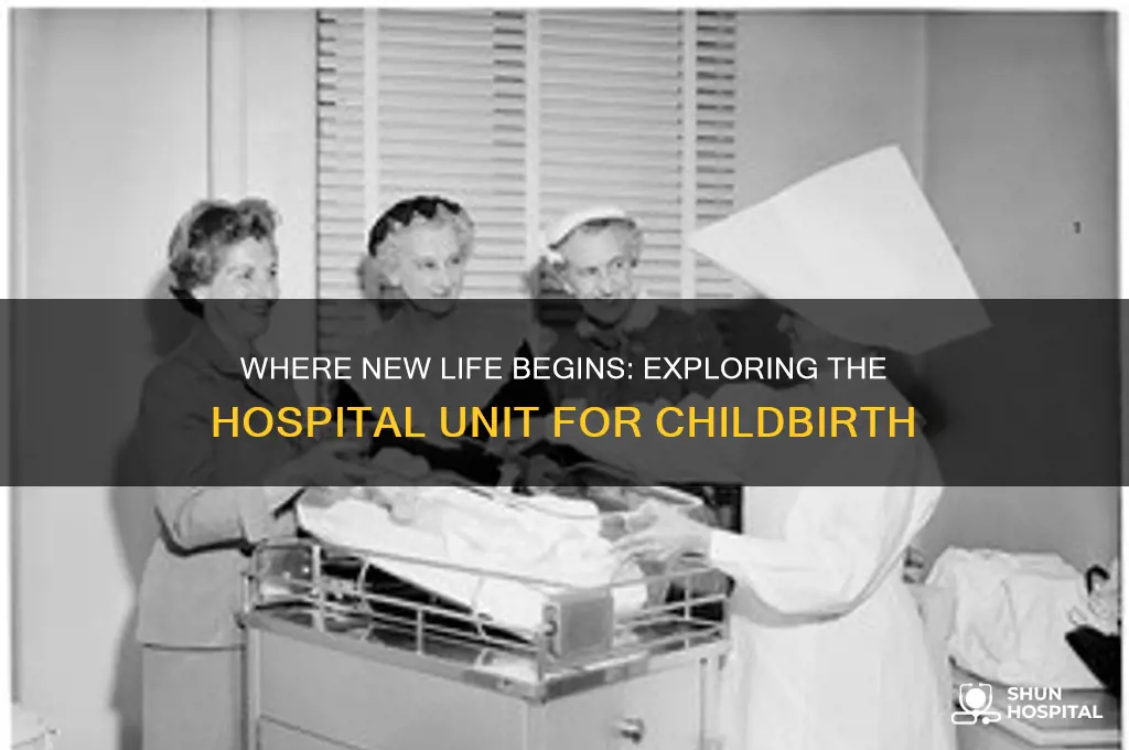 what unit in the hospital do mothers giving birth