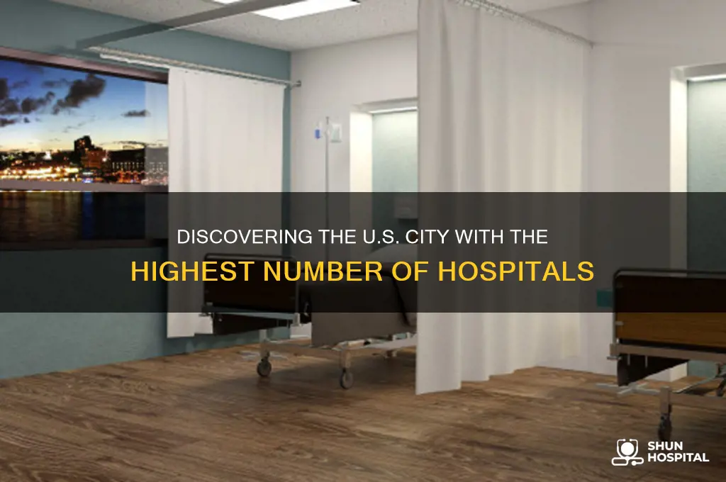 what us city has the most hospitals