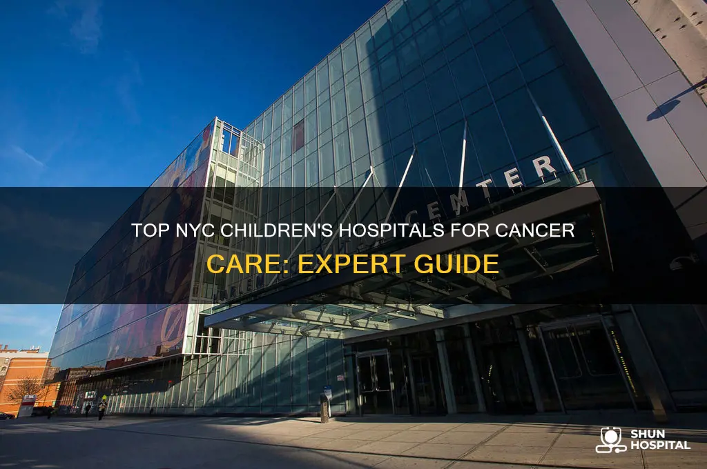 what us the best childrens hospital for cancer in nyc
