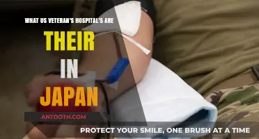 U.S. Veterans Hospitals in Japan: Locations and Services Guide