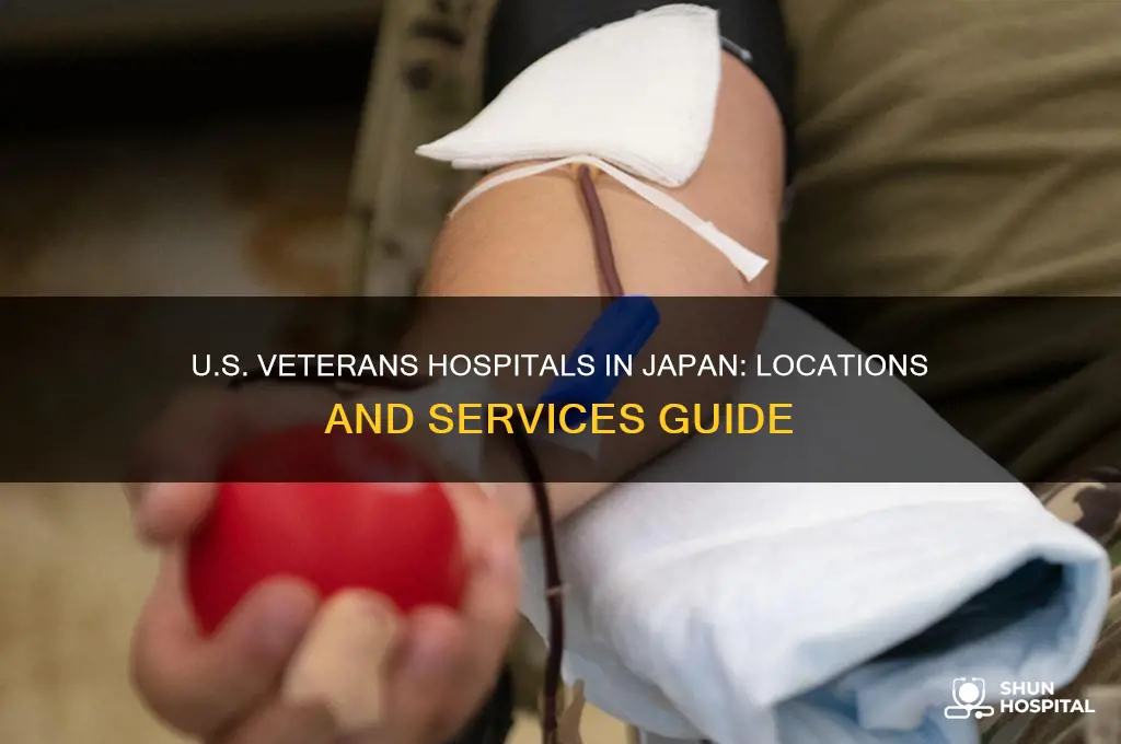 what us veteran