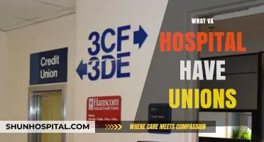 Unions in VA Hospitals: Exploring the Landscape of Labor Representation