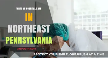 Northeast Pennsylvania VA Hospitals: Locations and Services Guide