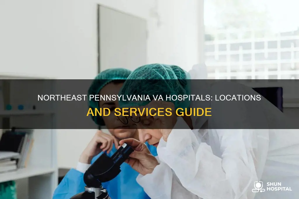 what va hospitals are in northeast pennsylvania