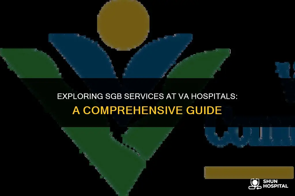 what va hospitals offer sgb