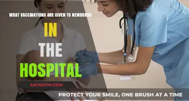 Essential Newborn Vaccinations Administered in the Hospital: A Parent's Guide
