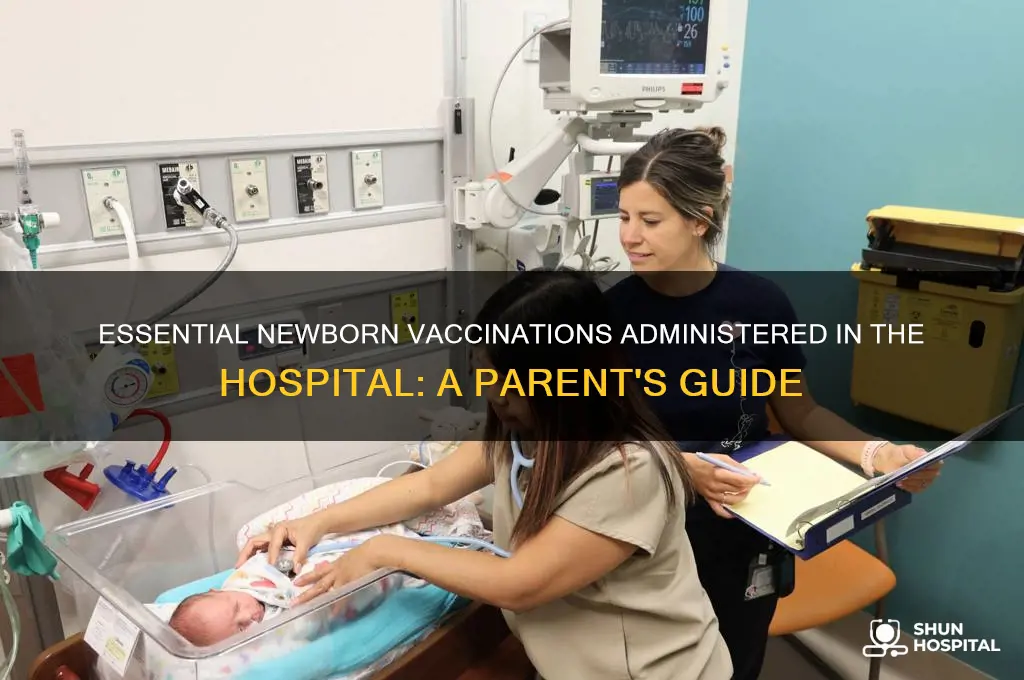 what vaccinations are given to newborns in the hospital