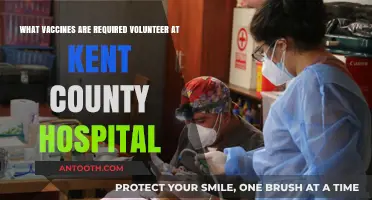 Volunteering at Kent County Hospital: Essential Vaccines You Need