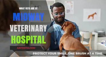Meet the Dedicated Vets at Midway Veterinary Hospital