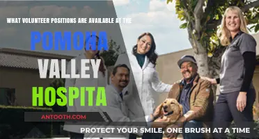 Explore Volunteer Opportunities at Pomona Valley Hospital: Roles Available