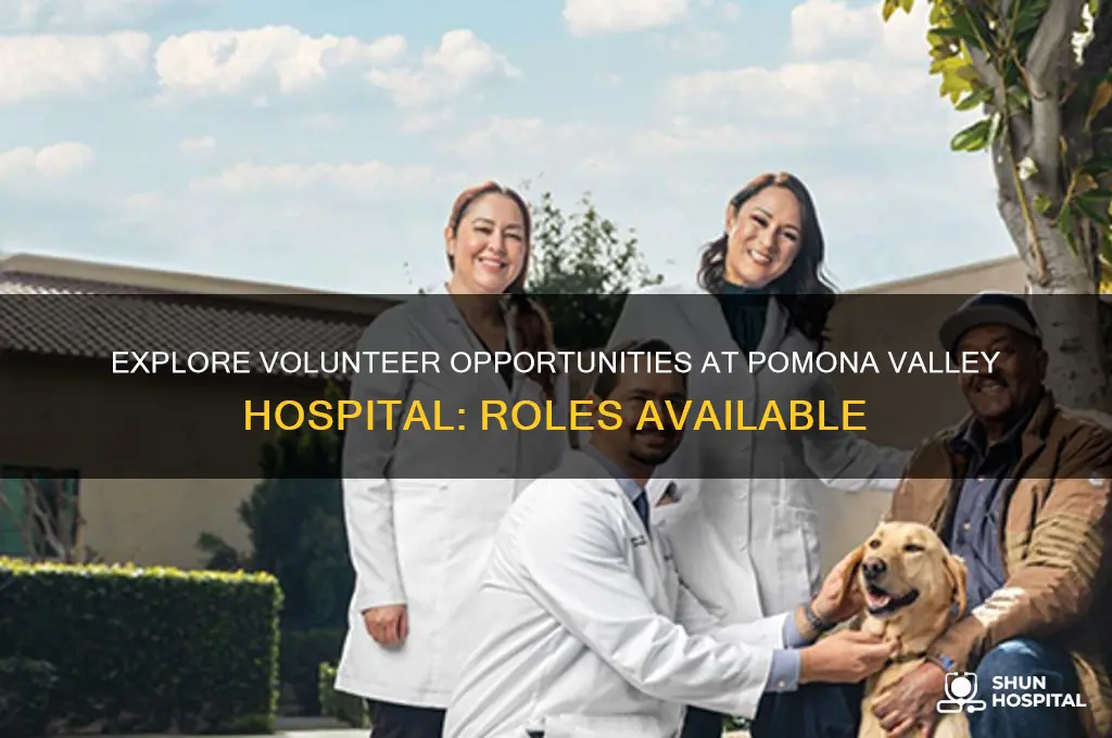 what volunteer positions are available at the pomona valley hospita